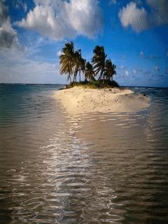 1235818832_nature-31.gif